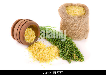 Millet dans un sac et le bol d'épillets vert isolé sur fond blanc Banque D'Images