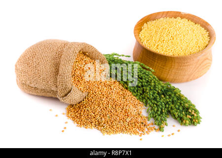 Millet dans un bol en bois, sac de toile et d'épillets vert isolé sur fond blanc Banque D'Images