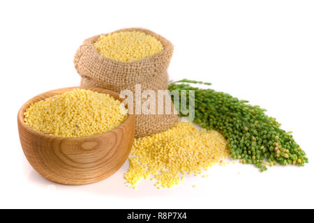 Millet dans un sac et le bol d'épillets vert isolé sur fond blanc Banque D'Images