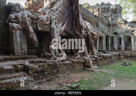 Ruines du temple Prasat Preah Khan, Angkor, Siem Reap, Cambodge Banque D'Images