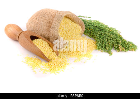 Dans un sac de mil et écope d'épillets vert isolé sur fond blanc Banque D'Images