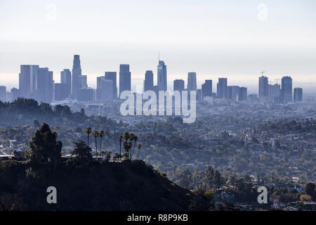 Matin cityscape view of Downtown Los Angeles du Griffith Park populaires près de Hollywood en Californie. Banque D'Images