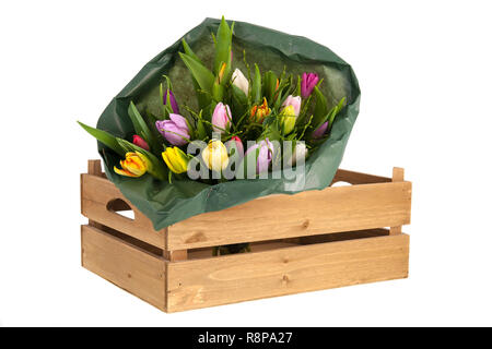 Tulipes bouquet enveloppé isolated over white background Banque D'Images