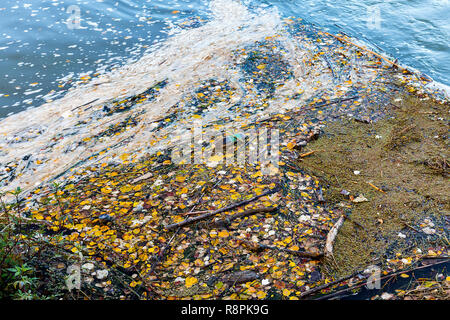 Fond de bouteille et de détritus flottant sur l'eau dans riveside. La pollution de la rivière Banque D'Images