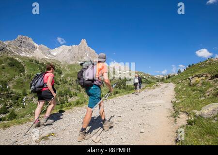 France, Hautes Alpes, Nevache, vallée de la Claree, les randonneurs sur le GR de pays du Tour du Mont Thabor, en arrière-plan le massif des Cerces (3093m) et les sommets de la main de crépin (2942m) Banque D'Images