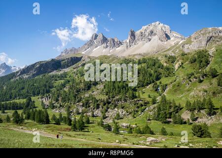 France, Hautes Alpes, Nevache, vallée de la Claree, le massif des Cerces (3093m), les randonneurs sur le GR de pays du Tour du Mont Thabor Banque D'Images