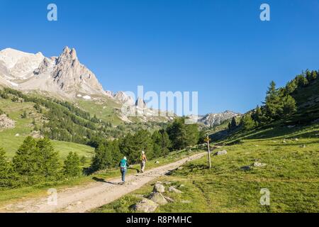 France, Hautes Alpes, Nevache, vallée de la Claree, les randonneurs sur le GR de pays du Tour du Mont Thabor, en arrière-plan le massif des Cerces (3093m) et les sommets de la main de crépin (2942m) Banque D'Images