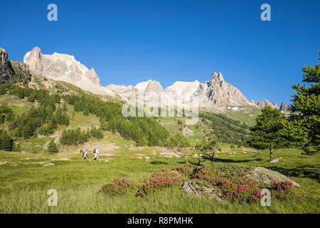 France, Hautes Alpes, Nevache, vallée de la Claree, les randonneurs sur le GR de pays du Tour du Mont Thabor, en arrière-plan le massif des Cerces (3093m) et les sommets de la main de crépin (2942m) Banque D'Images