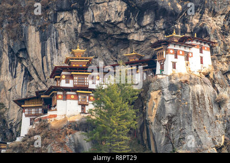 Taktsang Lhakhang, Tiger's Nest, Paro, Bhoutan Banque D'Images