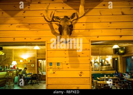 Canada, Québec, région du Saguenay-Lac Saint-Jean, Fjord du Saguenay, Ste-Rose-du-Nord, Cap au Leste, fjord-side Wilderness Lodge, de l'intérieur, bois d'orignal Banque D'Images