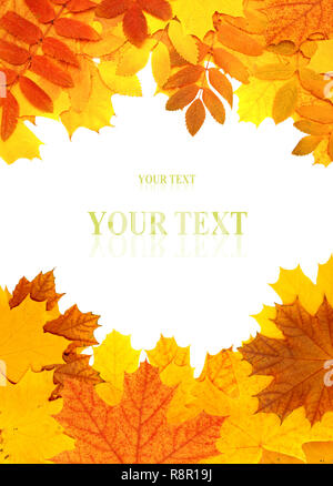 Cadre décoratif de lumineux les feuilles d'automne. Isolated over white Banque D'Images