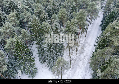 Forêt de sapins enneigés avec route allant à travers elle. Vue aérienne des arbres couverts de neige Banque D'Images