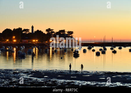 France, Morbihan, Golfe du Morbihan, Parc Naturel Régional du Golfe du Morbihan, la baie de Quiberon, presqu'île de Rhuys, Arzon, Port-Navalo Banque D'Images