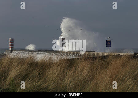 Le nord de la côte portugaise au cours de l'hiver voir big splash vague, phare, la jetée et les signaux d'avertissement de danger. Banque D'Images