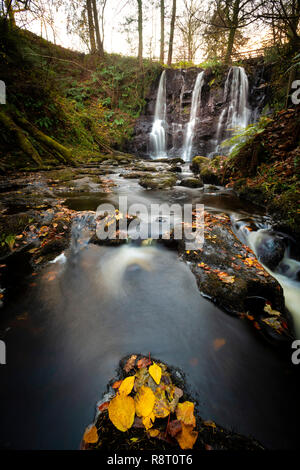 Cascade ESS-na-Crub, Glenariff Forest Park, comté d'Antrim, Irlande du Nord Banque D'Images