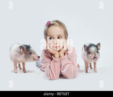 Fille enfant et mini-porcs sur fond blanc, portrait Banque D'Images