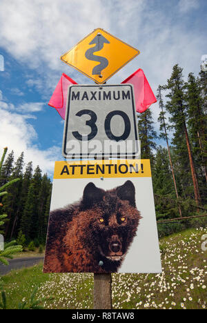 Signe de la limite de vitesse et avertissement pour les passages fauniques, Banff National Park, montagnes Rocheuses, Alberta, Canada Banque D'Images