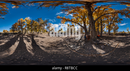 Vue panoramique à 360° de Manzanar Bloc 32 Park