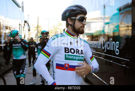 17 décembre 2018, l'Espagne, Palma : cyclist Peter Sagan de la Slovaquie est l'entraînement avec l'équipe Bora Hansgrohe dans El Arena. Photo : Clara Margais/dpa Banque D'Images