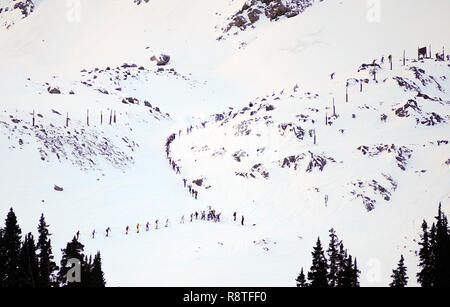 15 décembre 2018 : Une ligne de pente de ski mountaineering racers traverse un début de l'article près d'un mur à l'Est du bassin au cours de la difficile United States Ski Alpinisme course individuelle de l'Association. Arapahoe Basin Ski Area, Dillon, Colorado. Banque D'Images