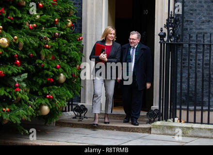 Londres, Royaume-Uni. Au 18 décembre 2018. L'Amber Rudd et David Mundell, quitter la réunion du Cabinet, à Downing Street. Credit : Tommy Londres/Alamy Live News Banque D'Images