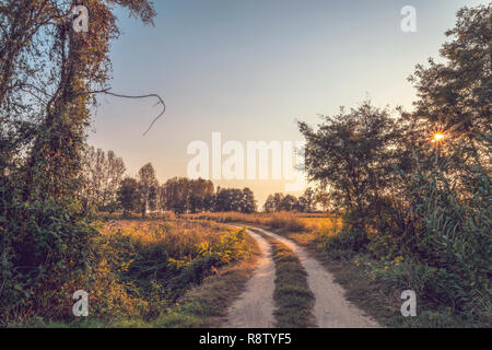 Pays dirt road in Lomellina au coucher du soleil Banque D'Images