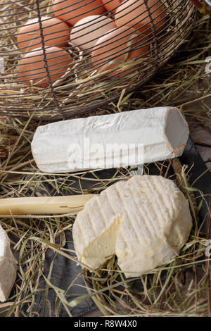 Un fromage français de Saint Marcellin avec oeufs sur la paille Banque D'Images