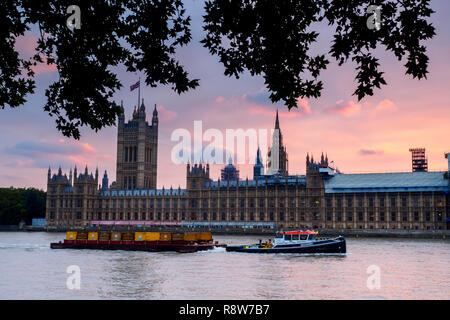 Bateau le long de la Tamise en face du Palais de Westminster - Londres, Angleterre Banque D'Images