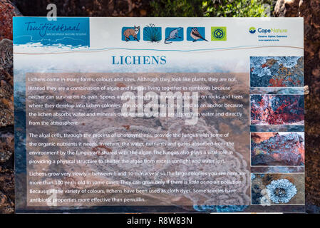 TRUITJIESKRAAL, AFRIQUE DU SUD, le 24 août 2018 : un lichen information board à Truitjieskraal dans le Cederberg Montagnes de la Province du Cap Occidental Banque D'Images