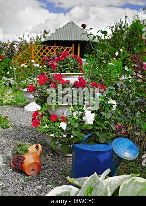 Pots de fleurs colorées dans le jardin. Abri de jardin entouré de plantes et d'arbustes en pots colorés. Beau jardin de fleurs dans un seau sur une souche je Banque D'Images