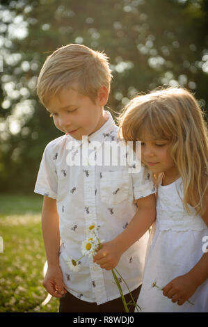 Enfants dans un champ Banque D'Images