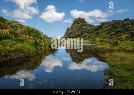 Karekare Beach, Waitakere Ranges, Auckland, île du Nord, Nouvelle-Zélande Banque D'Images