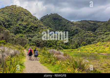 Karekare Beach, Waitakere Ranges, Auckland, île du Nord, Nouvelle-Zélande Banque D'Images