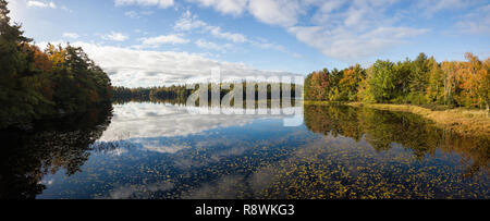 Vue panoramique aérienne d'un lac au cours d'une journée ensoleillée d'automne. Pris dans Charlotte Lake, Queens, Caledonia, Nova Scotia, Canada. Banque D'Images