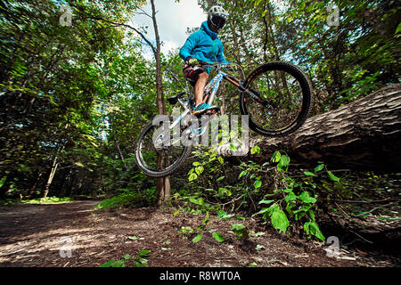 Moscou, Russie - le 18 août 2017 : sauter et voler sur un vélo de montagne. Rider en action à vtt sport. Biker équitation dans la forêt. Athlète Cool cyclis Banque D'Images