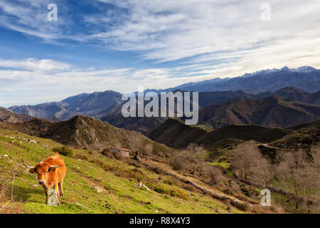 Paysage du Parc National des Picos de Europa en Espagne. Banque D'Images