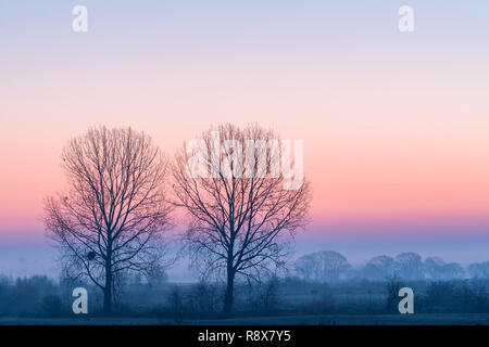 Paysage rural minimaliste avec deux arbres, brouillard sur un champ et ciel coloré au lever du soleil. Banque D'Images