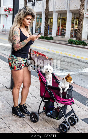 Miami Florida,Flagler Street,centre-ville,transgenre,femme femmes,tatouages chiens de poussettes animaux,short,FL181205069 Banque D'Images