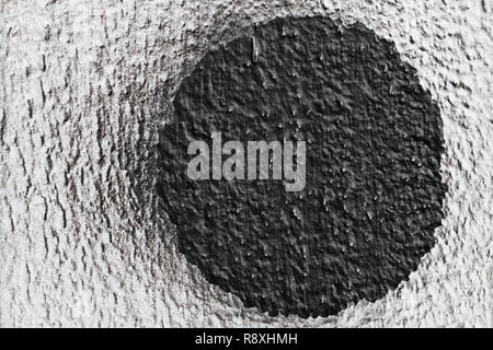 Cercle de couleur noire sur une colonne de couleur blanche avec des taches de peinture noire la texture de couleur d'un arbre Banque D'Images