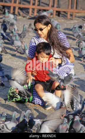 La mère et l'enfant à nourrir les pigeons porte de l'Inde Bombay Inde M.# 152 Banque D'Images