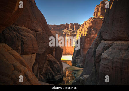 L'intérieur du panorama canyon aka Guelta d'Archei, à l'est l'Ennedi, Tchad Banque D'Images