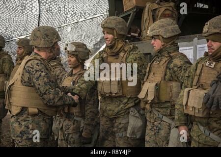 Corps des Marines américains, le général Charles Chiarotti, un commandant adjoint avec les forces des États-Unis au Japon, salue des Marines sur la ligne d'armes à feu dans la zone de Manœuvre Hijudai, Japon, le 6 mars 2017. Les Marines et les marins participer à la réinstallation d'artillerie de formation visant à fournir en temps opportun et précis de forêt pour soutenir des groupes professionnels militaires, des compétences spécialisées, former Marines/marins en commun les compétences et promouvoir l'éducation militaire professionnelle pour l'objectif global d'améliorer l'état de préparation opérationnelle de combat et relations internationales. Banque D'Images