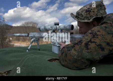 Le Corps des Marines des États-Unis. William Pearn, Shohola, Pennsylvania, natif de forêt sur une cible au cours de l'effort à Somagahara la lumière de la forêt, le Japon, le 8 mars 2017. Feu de forêt est l'une des diverses possibilités de formation bilatérales menées par la masse japonais Self Défense et l'avant du Corps des Marines américain déployé leurs forces pour démontrer l'engagement durable des deux pays à la paix, la stabilité et la prospérité dans la région. Pearn est une machine gunner dans la formation de l'école de sniper scout et est joint à la Compagnie Golf du 2e Bataillon, 3e Régiment de Marines, qui prend en charge III Marine Expeditionary Force Banque D'Images