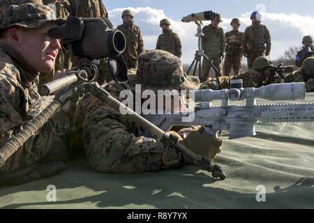 Corps des Marines des États-Unis Le Cpl. Tyler Harbert, et de la Marine, le Maître de 3e classe Bryce Meeker, en vue de leurs points cible au cours de l'effort à Somagahara la lumière de la forêt, le Japon, le 8 mars 2017. Feu de forêt est l'une des diverses possibilités de formation bilatérales menées par la masse japonais Self Défense et l'avant du Corps des Marines américain déployé leurs forces pour démontrer l'engagement durable des deux pays à la paix, la stabilité et la prospérité dans la région. Harbert, sous-chef d'équipe, et Meeker, un hôpital corpsman, sont avec sniper scout peloton, Compagnie de Golf, 2e Bataillon, 3e Régiment de Marines, wh Banque D'Images