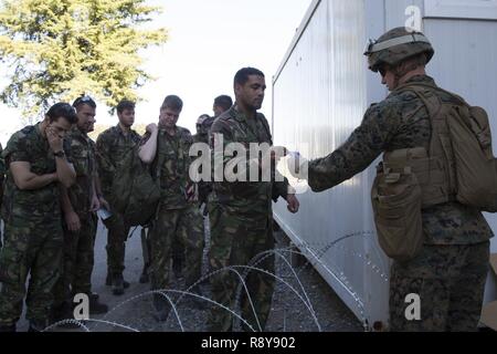 Le Sgt. Joshua L. Laduke, un chef des services publics affectés à des fins Maritime Aérien Au sol, Response-Africa Force-Crisis tâche prend une carte d'identification d'un militaire en service lors d'une évacuation Centre de contrôle et l'opération d'évacuation de noncombattant entraînement avec portugais et néerlandais de l'OTAN lors de l'exercice du vrai dégel 17 à Beja, Portugal, le 8 mars 2017. Du vrai dégel 17 est un Portugais, dirigée par l'exercice de la force combinée qui fournit de l'entraînement tactique à plusieurs pays participants afin de maintenir l'état de préparation conjointe et à renforcer les relations avec les alliés de l'OTAN. Banque D'Images