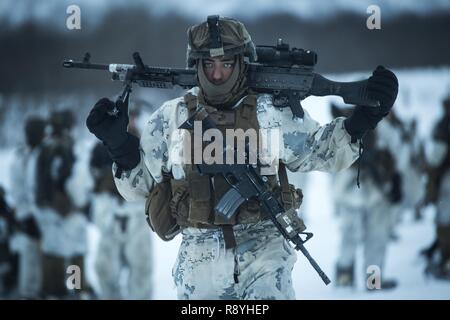 La Marine américaine lance le Cpl. Jésus Marroquin, a Las Vegas, Nevada, indigènes porte un M240B machine gun pendant une randonnée à Sekiyama, au Japon, au cours de l'effort de la lumière de la forêt 15 mars 2017. Feu de forêt est l'une des diverses possibilités de formation bilatérale menée par JGSDF et déployé des forces marines des États-Unis pour démontrer l'engagement durable des deux pays à la paix, la stabilité et la prospérité dans la région. Marroquin est une machine gunner avec Company G, 2e Bataillon, 3e Régiment de Marines, 3e Division de marines, III Marine Expeditionary Force. Banque D'Images