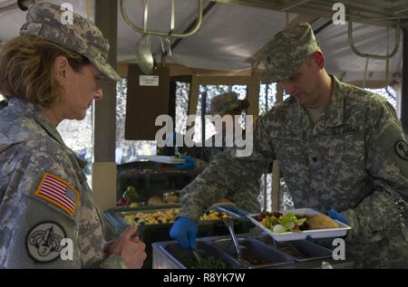 L'Adjudant chef Pamela Null (à gauche), l'US Army Reserve Command conseiller alimentaire, reçoit la première plaque au cours de repas de l'équipe culinaire du 391e Bataillon de la Police militaire dans le cadre de la 49e Philip A. Connelly Prix de l'excellence en matière de concurrence des services alimentaires de l'armée au Camp Blanding, en Floride, le 17 mars 2017. La valeur Null a été l'un des trois évaluateurs ont examiné les MP 391Bn.'s services alimentaires dans le cadre de la compétition. Le MP 391BN, l'un des quatre finalistes à l'échelle de l'Armée sélectionnée, CAMP BLANDING (Floride), comme leur emplacement pour le niveau de test final dans la compétition. Banque D'Images