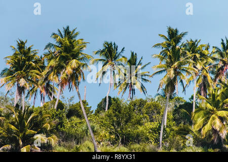 Photo de plages de Bavaro à Punta Cana, République Dominicaine Banque D'Images