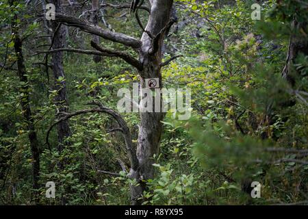 France, Drôme, Vercors, Diois, Saillans, réserve faunique de Grand Barry Banque D'Images