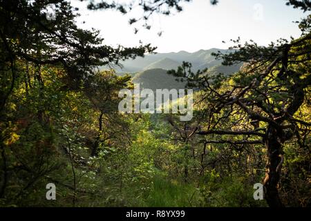 France, Drôme, Vercors, Diois, Saillans, réserve faunique de Grand Barry Banque D'Images